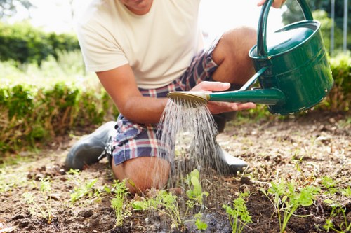 Insurance certificate and documents for an insured gardening company