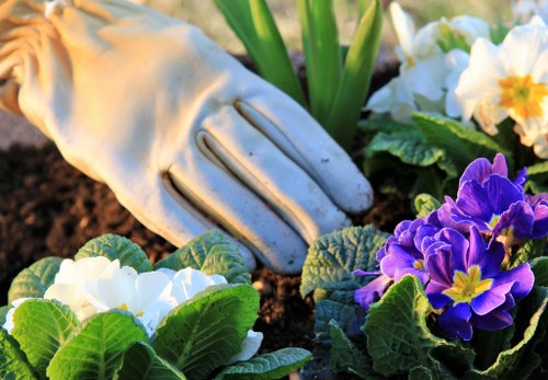 Eco-friendly garden clearance practices in East Ham