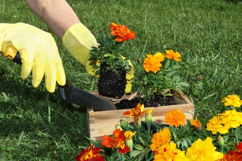 A gardener wearing yellow waterproof gloves is digging in a rectangular wooden planter box with a small trowel in a lush, green outdoor garden. The planter contains soil but no visible plants, while vibrant orange and yellow flowering plants, possibly marigolds, are arranged around the box, creating a colourful display. The surrounding area features a well-maintained lawn with dense, healthy green grass, and in the background, there are tall, leafy plants and trees, suggesting a spacious backyard or landscaped garden. The natural lighting indicates a bright, possibly sunny day, emphasizing the vivid colours of the flowers and the richness of the soil. This scene captures outdoor garden maintenance activities typical of professional gardening services in East Ham, offering a clear view of grass, flower borders, and planting tools used for garden enhancement and landscaping compliance.